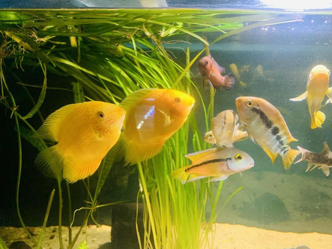 Rozmawiamy z Tomaszem Wiśniewskim, założycielem Aqua Dreams Bydgoszcz
