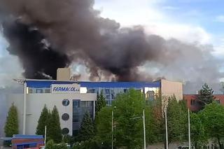 Gigantyczny pożar w Katowicach. Pali się hala Farmacol przy ul. Rzepakowej