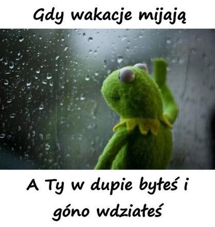 Urlop: memy
