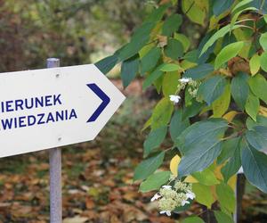 Spacer po jesiennych Ogrodzie Botanicznym w Lublinie
