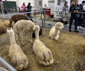 ZooPark w Lublinie. Dzień drugi