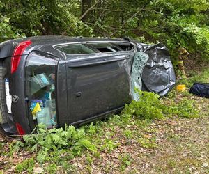Auto zderzyło się z żubrem. Volkswagenem podróżowały dwie osoby