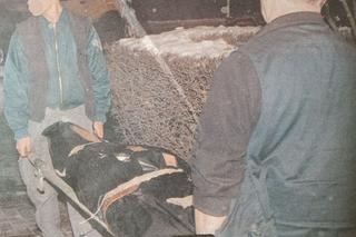 Malował, żeby oswoić śmierć. Zginął od 17 ciosów. Minęło 18 lat od zamordowania artysty Zdzisława Beksińskiego w bloku na Mokotowie