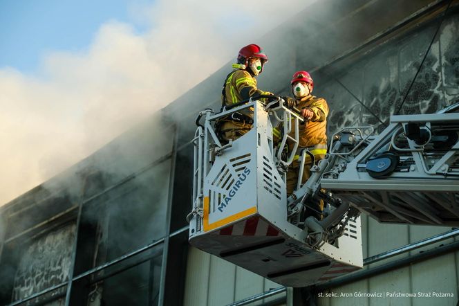  Kawle. Pożar zakładu przetwórstwa drobiowego. 120 strażaków walczy z żywiołem w czwartek, 14 sierpnia. Jeden z nich zaginął [ZDJĘCIA]