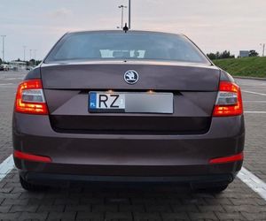 Quiz. Potrafisz dopasować tablicę rejestracyjną do podkarpackiej miejscowości? Sprawdź swoją wiedzę 