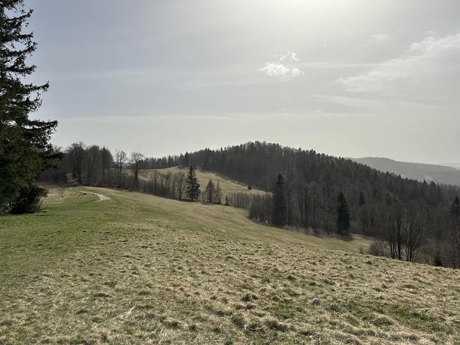 Ukryty szlak turystyczny pełen atrakcji. Nie każdy zna to miejsce w Małopolsce [GALERIA]