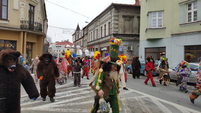 Gody Żywieckie plener