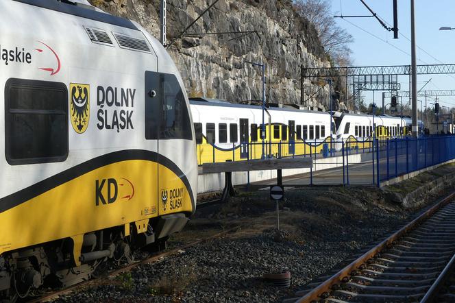 Pociągi Kolei Dolnośląskich wracają na swoje trasy