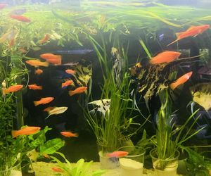 Rozmawiamy z Tomaszem Wiśniewskim, założycielem Aqua Dreams Bydgoszcz