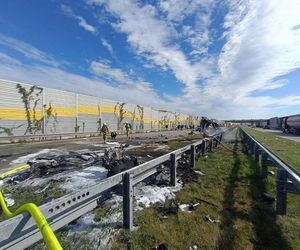 Śmiertelny wypadek na S8 pod Pabianicami. Kierujący BMW jechał pod prąd i huknął w tira [ZDJĘCIA].