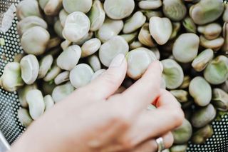 Jak gotować bób żeby nie wzdymał? Oto sprawdzone sposoby