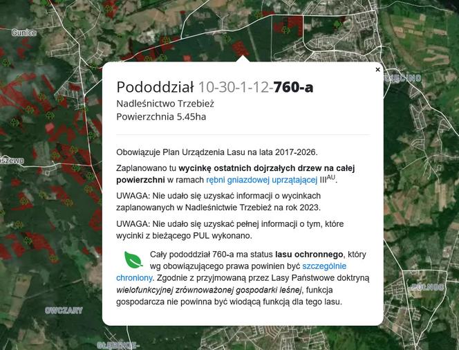 Wycinka lasów w Szczecinie i regionie 