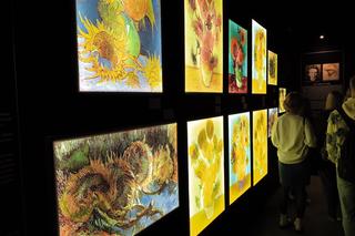 Niesamowita Wystawa Van Gogh w Gdańsku. Przepiękne wydarzenie multimedialne. Zobaczcie zdjęcia i film