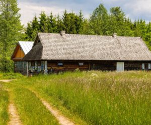 Białowieża