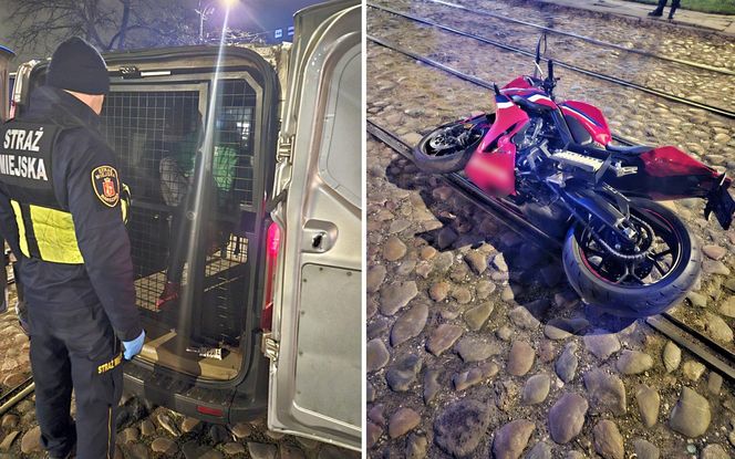 Z kradzionym motocyklem i kasetką z pieniędzmi. Strażnicy miejscy udaremnili zuchwałą kradzież
