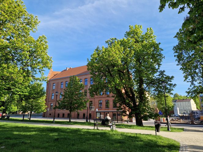 Plac Kościeleckich rozkwita na wiosnę. Bydgoszczanie chętnie wybierają go na spacer