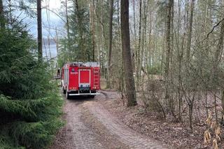 Tragedia w Jedzbarku. Mężczyzna wisiał na drzewie w uprzęży alpinistycznej