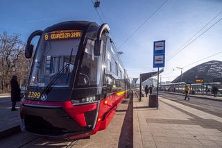 Dziesięć nowoczesnych tramwajów jeździ już po Łodzi. Na których liniach zobaczymy Moderus Gamma?