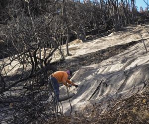 To koniec Los Angeles?! Miasto gwiazd może nie podnieść się po pożarach