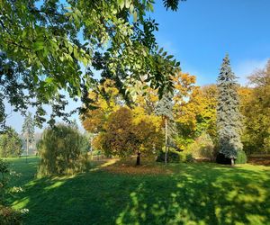 Zamojski Park jesienią