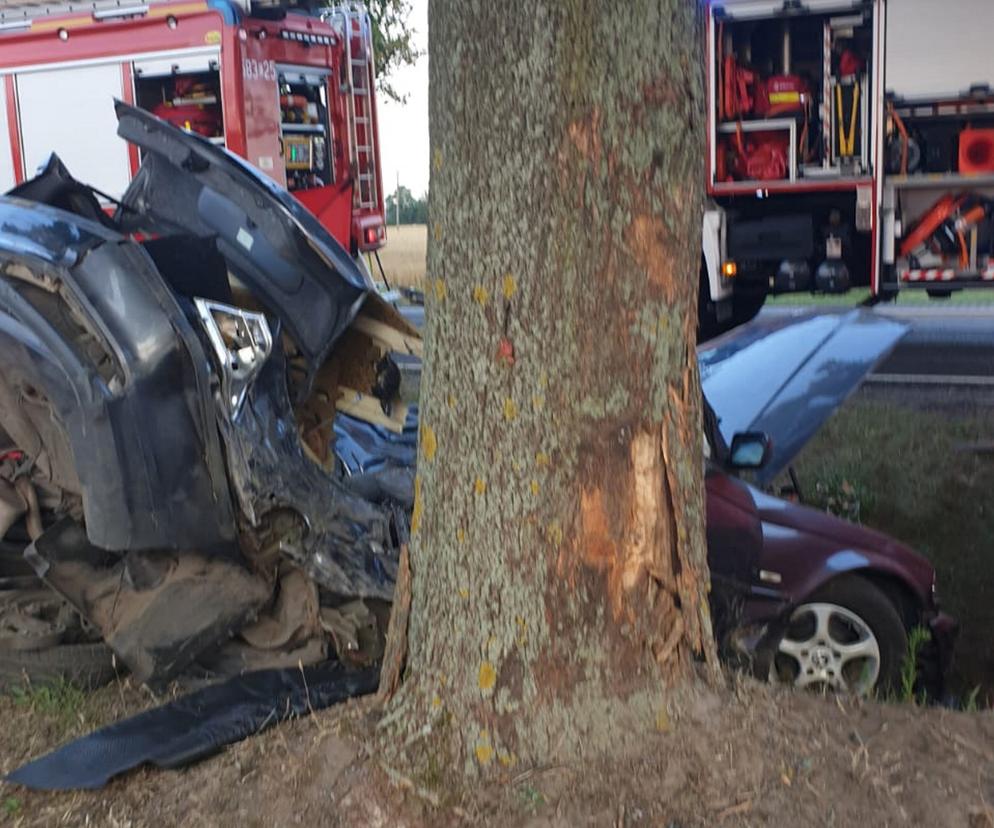 Śmiertelny wypadek pod Zgierzem. Dwóch mężczyzn zginęło w roztrzaskanym BMW. Policja szuka świadków 