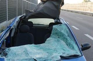 Świdnik: Zderzenie forda z łosiem. Dwóch pasażerów zostało rannych