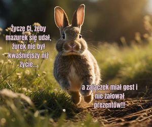 Śmieszne kartki wielkanocne