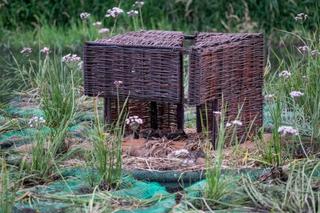 Eksperymentalny Ogród Dziedzictwa