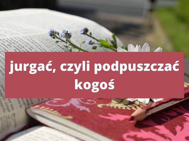 Te słowa tylko na Podkarpaciu! Znasz znaczenie tych słów? 