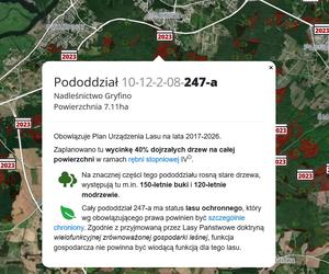 Wycinka lasów w Szczecinie i regionie 