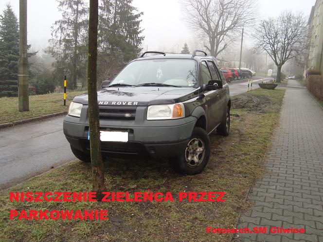Kolejni mistrzowie parkowania w Gliwicach wyłonieni. Parkowali nawet na przystanku