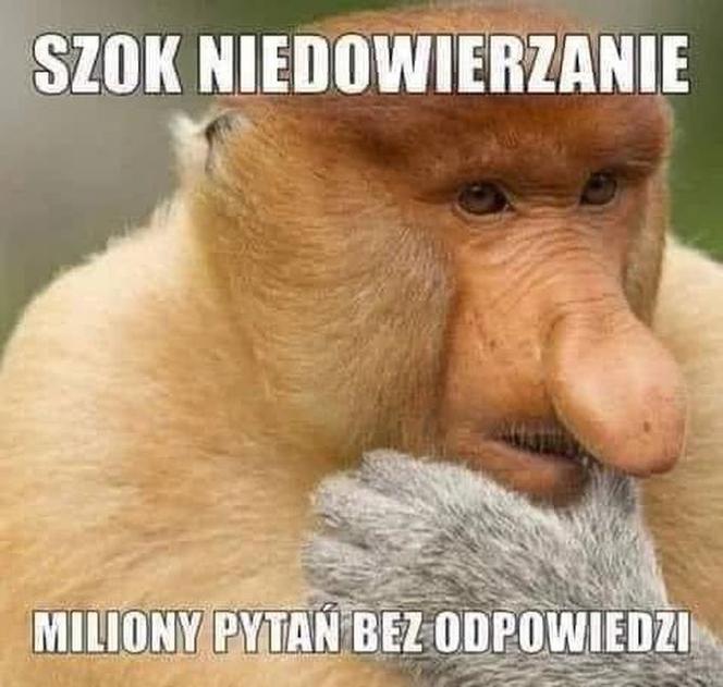Mecz Polska - Szwecja: MEMY PO MECZU. Polska odpada z Euro 2020 [ZDJĘCIA]
