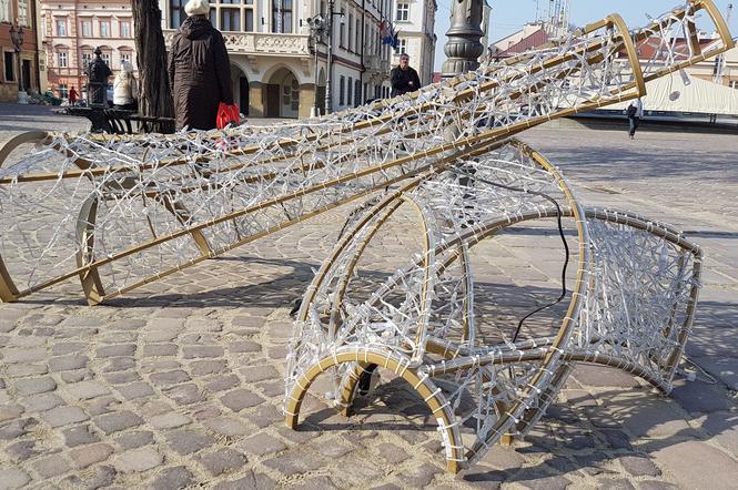 Demontaż ozdób świątecznych w Rzeszowie