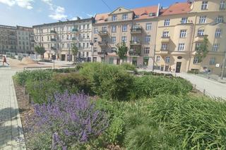 Rynek Łazarski w Poznaniu