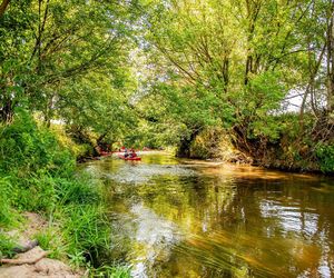 Spływ kajakowy rzeką Czarną w Połańcu