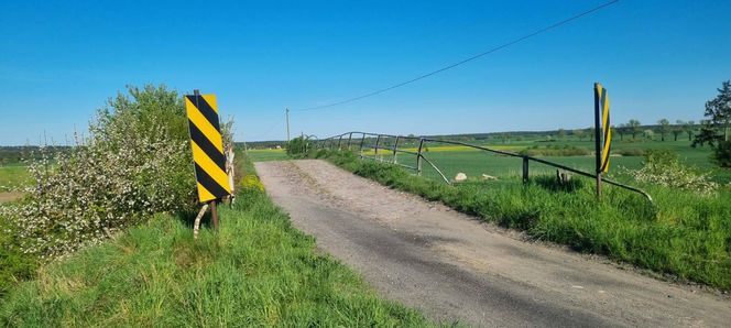 Ludzie sami wyrywają chaszcze na torach. Tak walczą o reaktywację linii kolejowej nr 241 z Tucholi do Koronowa