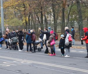 Bieg Niepodległości RUNPOLAND w Poznaniu