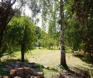 Ogród przyklasztorny sióstr szarytek w Warszawie