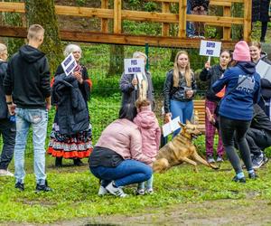   Nowy park na Mazurach zachwyca. Tłumy na oficjalnym otwarciu Małpiego Gaju [ZDJĘCIA]