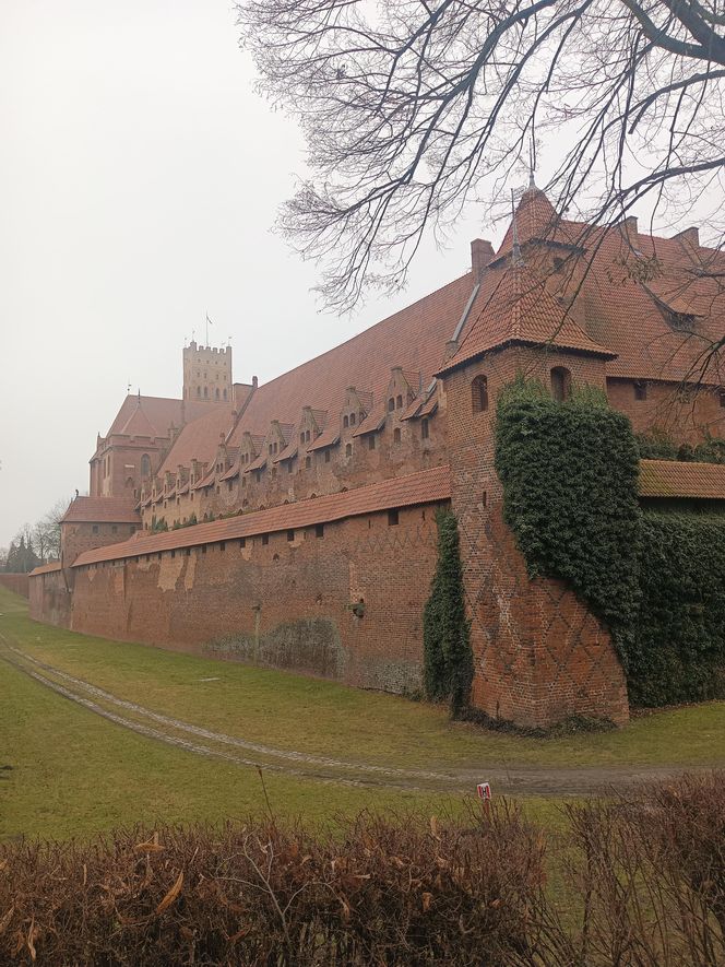 Zamek Krzyżacki w Malborku