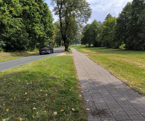 Promenada nad Jeziorem Łoniewskim w Osiecznej