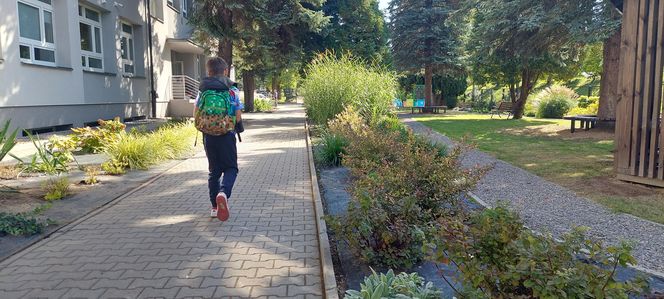 Ogród sensoryczno- naukowy przy SP nr 10 w Zamościu