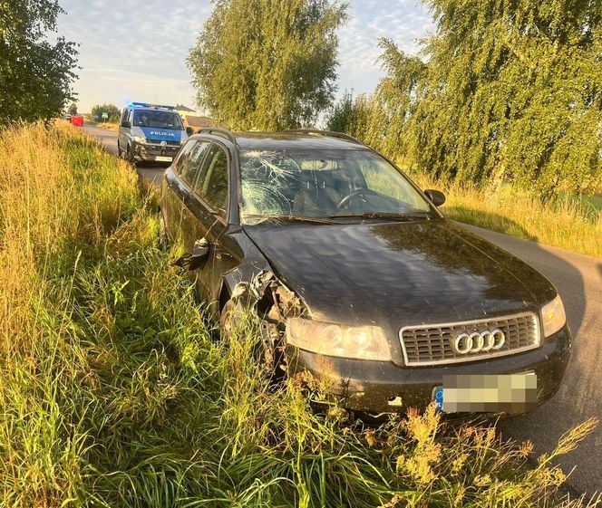 Tragiczny wypadek w Żerdzi. Nie żyje 46-letni rowerzysta