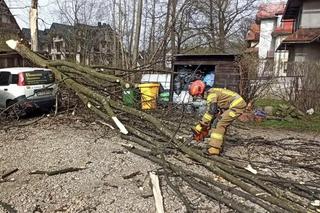 Tragiczny bilans wichur w Małopolsce. Pięć ofiar śmiertelnych i setki interwencji służb