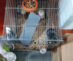 Dramatyczna interwencja w sklepie zoologicznym na Śląsku. Zwierzęta przetrzymywane w skandalicznych warunkach