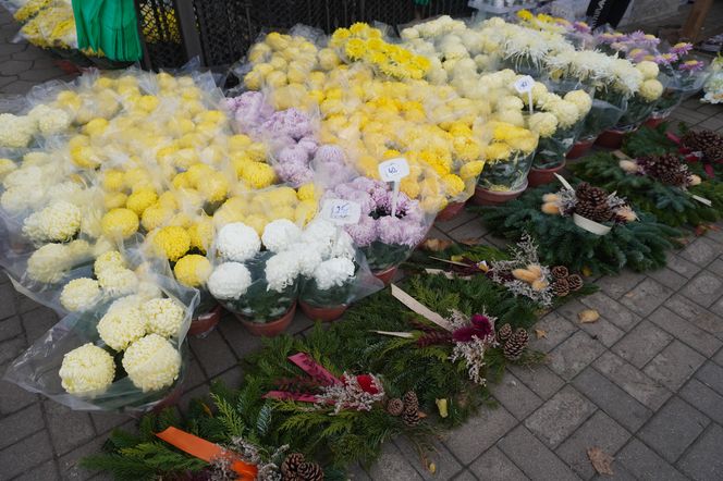 Ceny zniczy i kwiatów pod Cmentarzem Centralnym w Szczecinie