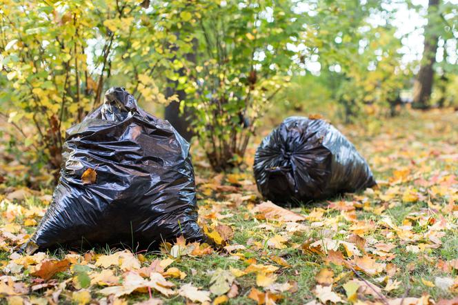 Kompostowanie w workach foliowych