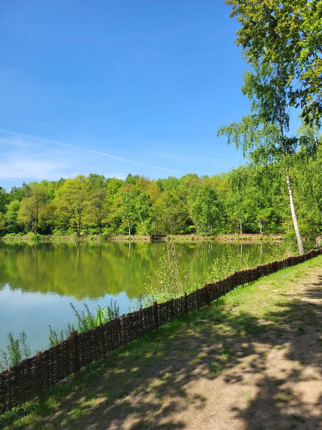 Kraków - Park Tetmajera