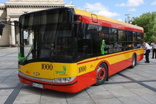 Zostań kierowcą autobusu miejskiego. Kwota na start robi wrażenie! 