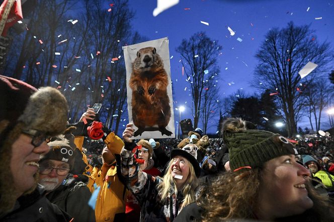 Świstak przepowiedział sześć tygodni zimy